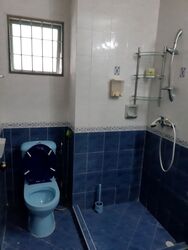 Westville (D22), Terrace #288268881